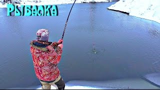 Рыбалка на паук, Руся и живец!