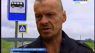 Сельская коррида: бык убил пастуха в Добрянском районе