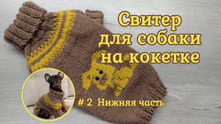 Свитер для собаки на круглой кокетке спицами, #2