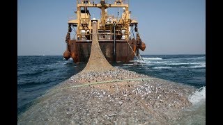 Fishering service показали как делается трал для ловли рыбы