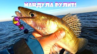 Судак разрывает мандулы на части! Клюет с каждого заброса! Рыбалка на мандулу