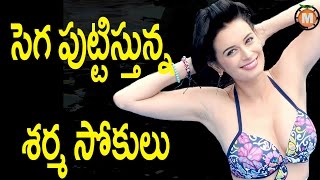 Evelyn Sharma Hot Unseen Bikini Photoshoot