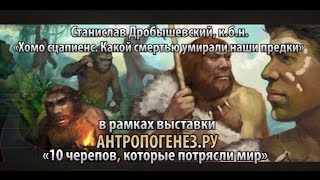 Станислав Дробышевский — Хомо сцапиенс. Какой смертью умирали наши предки