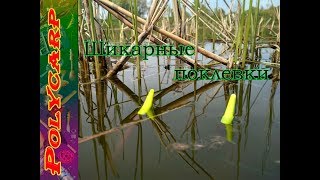 ЛОВЛЯ КАРАСЯ НА ПОПЛАВОК И МОРМЫШКУ