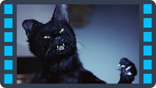 Драка с бешеной кошкой — Очень страшное кино 2 (2001) сцена 3/7 HD