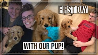 FIRST FULL DAY WITH NEW PUPPY | NEW PUPPY VLOG | Ryan And Aiden