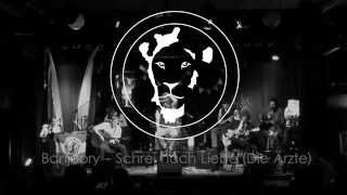 Banjoory - Schrei nach Liebe (Die Ärzte)