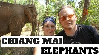ELEPHANT NATURE PARK | CHIANG MAI THAILAND - Ethical Elephant Sanctuary