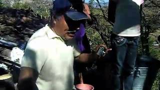 Extensionismo Rural (Parte 1)