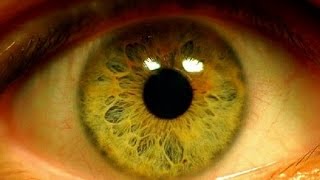 Как улучшить и восстановить зрение. Эффективные  витамины  для глаз. Польза для зрения