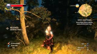 The Witcher 3 - Contract: Lord of the Wood: Investigate Site (Dead Dwarf) Destroy Leshen Totum Scene