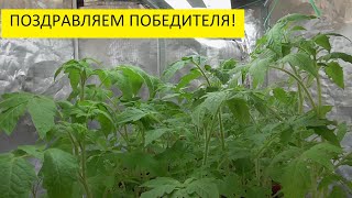 Розыгрыш растительной палатки MARS HYDRO. 