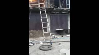 Голуби бойные/about the pigeons of Russia/über die Tauben von Russland