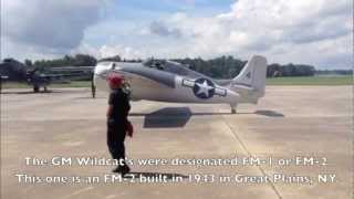 The Grumman Wildcat
