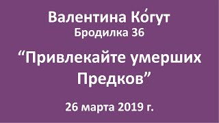 Привлекайте умерших Предков - Бродилка 36 с Валентиной Когут