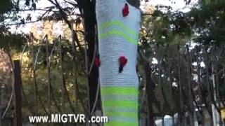 049 MIG TVR VANADZOR, LORI / МИГ ТВР ВАНАДЗОР, Лори / ՈՍԿԵ ԱՇՈՒՆ ՎԱՆԱՁՈՐԻ ԹԻՎ 1 ԴՊՐՈՑՈՒՄ ... ՄԻԳ ՀՌԸ