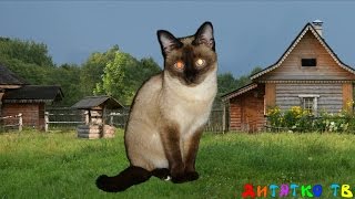 Домашние животные для самых маленьких Учим домашних животных Развивающие мультики для детей На ферме