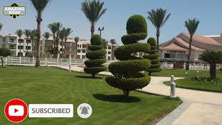 Review Of Hotel Dana Beach Resort Albatros 5★ / Hurghada Egypt 2019