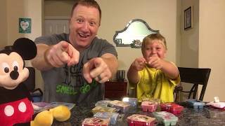 The Disney Collection - Scentsy Wax Bars