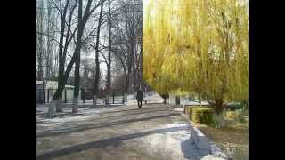 Ново-Покровская школа