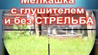 Мелкашка стрельба с глушителем и без тест Small-caliber rifle shooting with silencer от пистолета