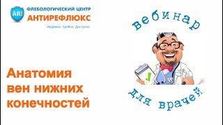 Вебинар Анатомия вен нижних конечностей