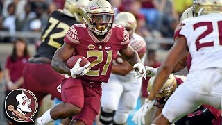 Florida State Spring Football Game Highlights (2018)