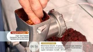 Корм для кошек своими руками