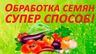 Срочно! Супер способ замачивания семян 2016! Обработка семян - очень удобно и быстро.