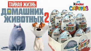 Kinder Surprise Тайная жизнь домашних животных 2. (Вес в описании).