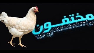 مختفون : قصة الدجاجة الهاربة