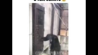 Когда очень сильно хочешь в туалет