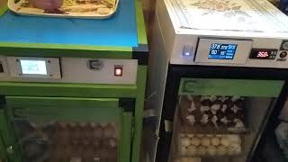 ИНКУБАЦИЯ В ЯНВАРЕ// Инкубаторы НБФ!// Секреты хороших урожаев.