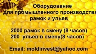 Промышленная линия для изготовления ульев и рамок