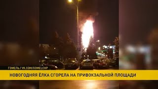 В Гомеле сгорела елка у вокзала: четвертый инцидент такого рода за последние 2 года