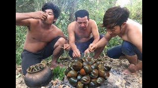 Cooking Snail on Rock - Searching Snail Cook For Food Eating delicious
