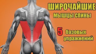 ШИРОЧАЙШИЕ МЫШЦЫ СПИНЫ. 5 БАЗОВЫХ УПРАЖНЕНИЙ. + ОШИБКИ УБИВАЮЩИЕ ПРОГРЕСС!