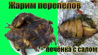 Жареные перепела Очень вкусно Печеная картошка с салом в фольге Деревенская жизнь