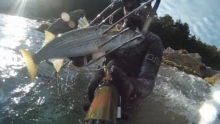 #ЛОБАН В ТУМАНЕ. Июль 2018 охота в Черном Море 2018