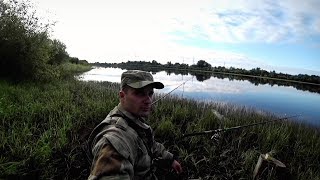 Рыбалка на утренней зорьке. Ловлю на курье реки Вычегда.