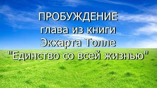 ПРОБУЖДЕНИЕ - 4 глава из книги Экхарта Толле "Единство со всей жизнью"