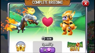 Dragon City: Winter Comet Dragon vs Winter Star Dragon [EXCLUSIVE BREEDING] ?