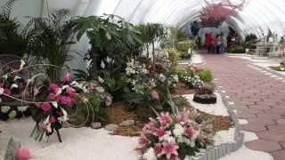 Flora Burgas 2013 (Full HD 1080/50p)