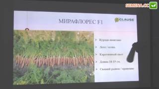 Мирафлорес F1 морковь (Clause) семинар 22.11.2016