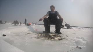 Ловля наваги на махалки и блесны. Mr.Musurok Lures and Rods. Охотск (Хабаровский край)