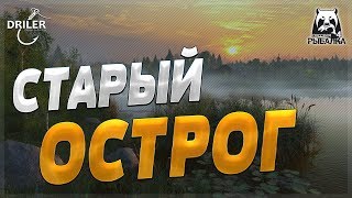 Рыбалка на Старом Остроге. Стрим Русская рыбалка 4