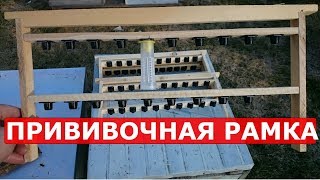 как сделать прививочную рамку для вывода маток