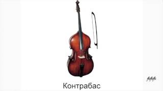 Инструменты  Музыкальная грамота  Раннее развитие