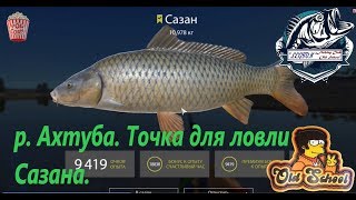 Русская Рыбалка 4. р. Ахтуба. Точка для ловли Сазана.