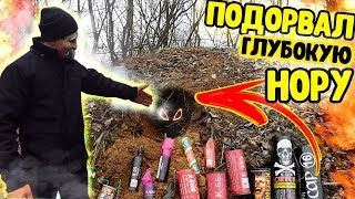 НОРА + МОЩНАЯ ПЕТАРДА. Взрыв петарды под землей в ТАРАКАНЕКСОВОЙ НОРЕ под стеклом